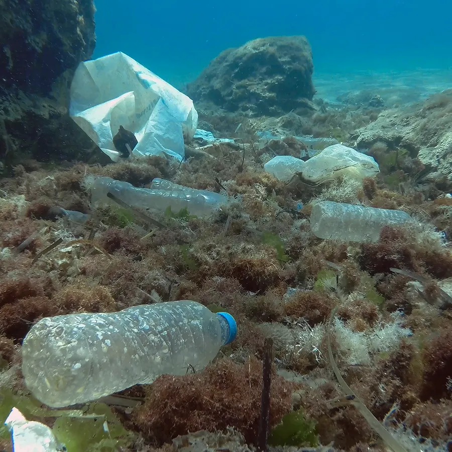 Plastic bottles underwater